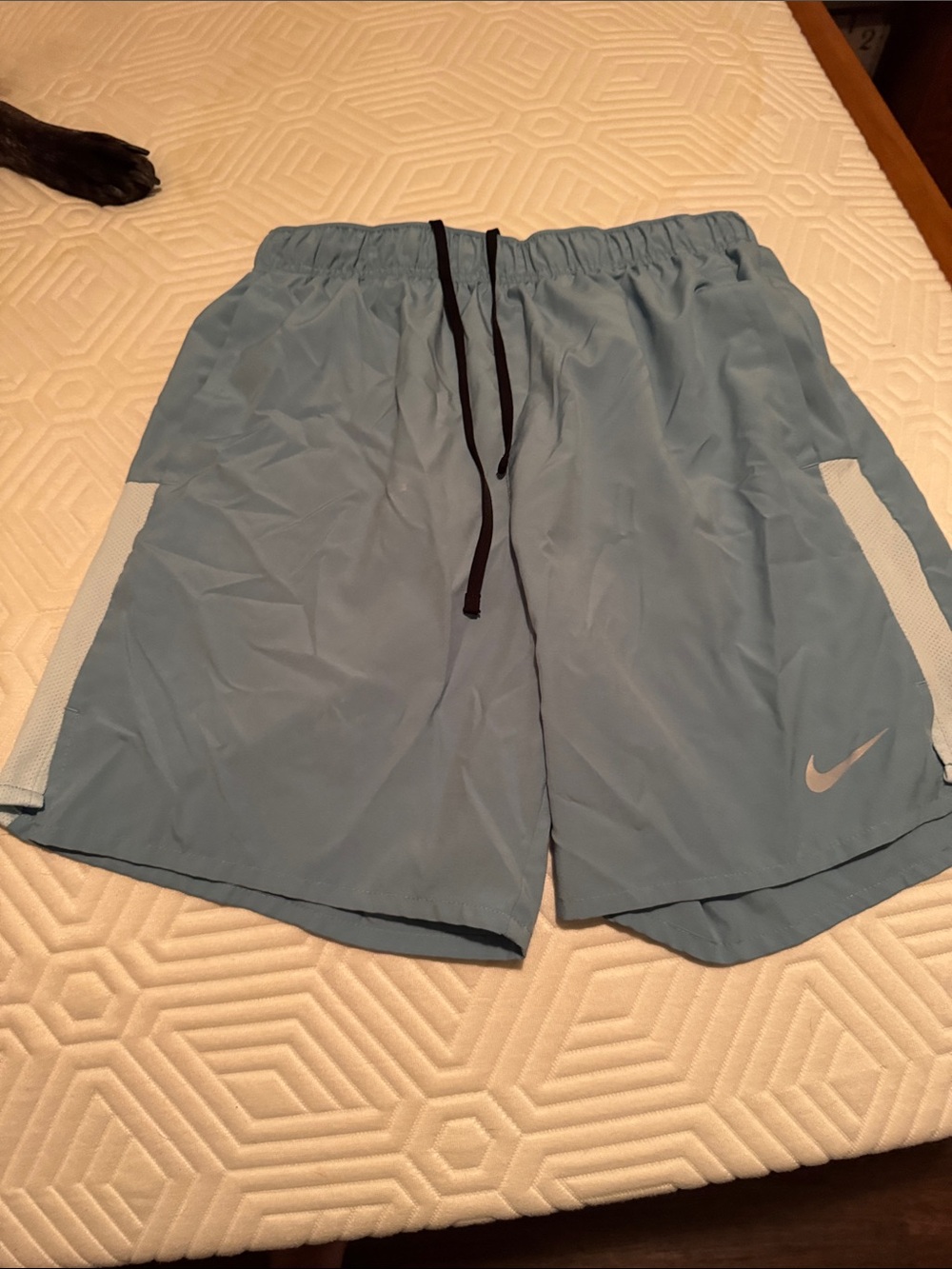 Nike Men's Sky Blue Athletic Shorts with Mesh Panels